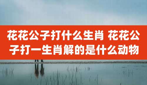 花花公子打什么生肖 花花公子打一生肖解的是什么动物