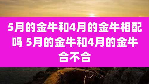 5月的金牛和4月的金牛相配吗 5月的金牛和4月的金牛合不合