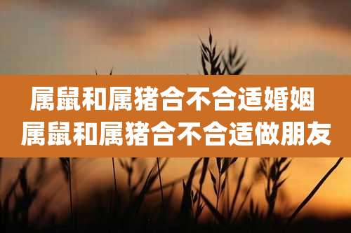 属鼠和属猪合不合适婚姻 属鼠和属猪合不合适做朋友