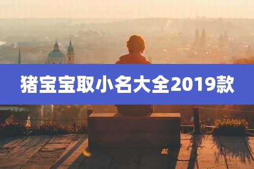 猪宝宝取小名大全2019款