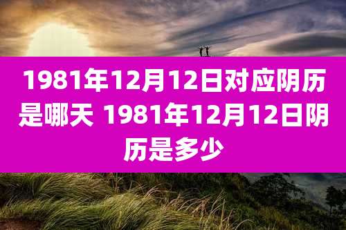 1981年12月12日对应阴历是哪天 1981年12月12日阴历是多少