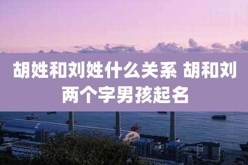 胡姓和刘姓什么关系 胡和刘两个字男孩起名