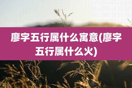 廖字五行属什么寓意(廖字五行属什么火)