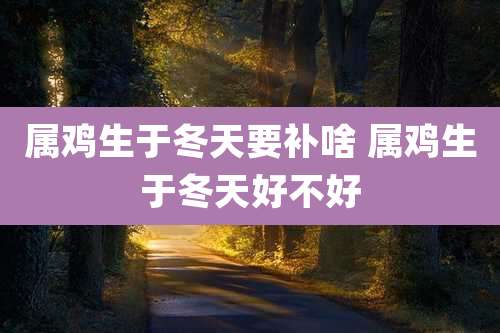 属鸡生于冬天要补啥 属鸡生于冬天好不好