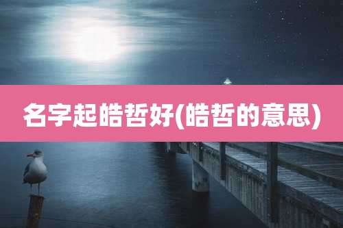 名字起皓哲好(皓哲的意思)