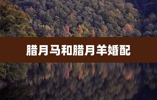 腊月马和腊月羊婚配