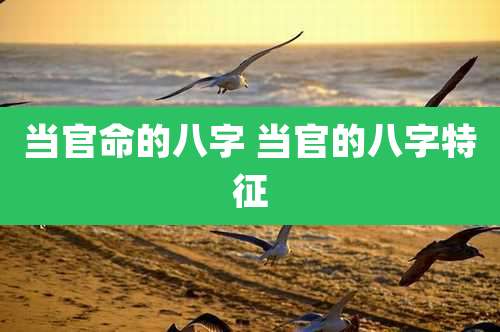 当官命的八字 当官的八字特征