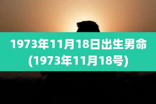 1973年11月18日出生男命(1973年11月18号)