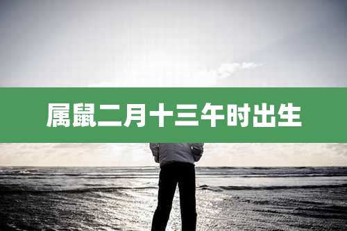 属鼠二月十三午时出生