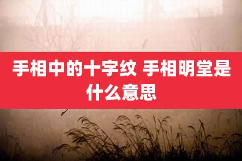 手相中的十字纹 手相明堂是什么意思