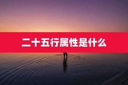 二十五行属性是什么