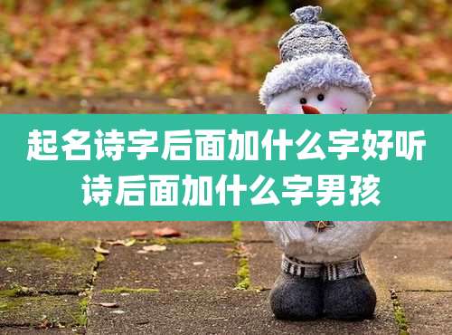 起名诗字后面加什么字好听 诗后面加什么字男孩