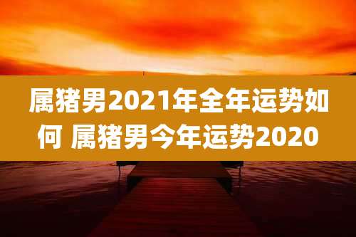 属猪男2021年全年运势如何 属猪男今年运势2020