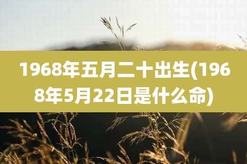 1968年五月二十出生(1968年5月22日是什么命)