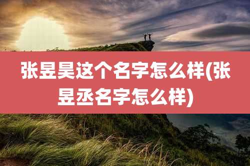 张昱昊这个名字怎么样(张昱丞名字怎么样)