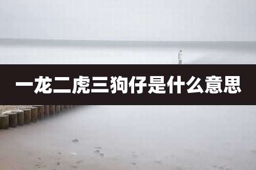 一龙二虎三狗仔是什么意思
