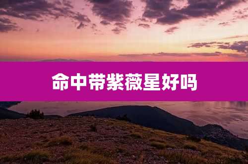 命中带紫薇星好吗