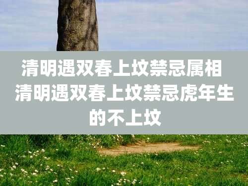 清明遇双春上坟禁忌属相 清明遇双春上坟禁忌虎年生的不上坟