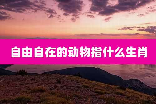 自由自在的动物指什么生肖