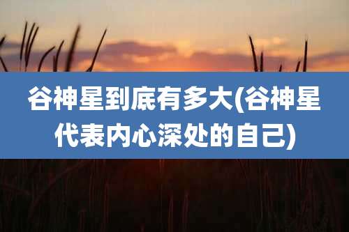 谷神星到底有多大(谷神星代表内心深处的自己)