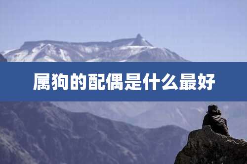 属狗的配偶是什么最好