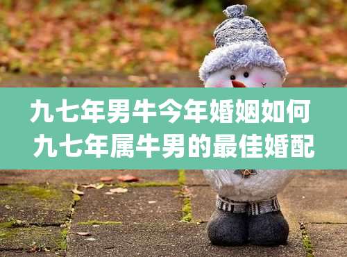 九七年男牛今年婚姻如何 九七年属牛男的最佳婚配