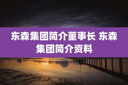 东森集团简介董事长 东森集团简介资料