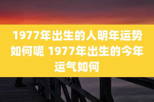 1977年出生的人明年运势如何呢 1977年出生的今年运气如何