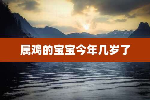 属鸡的宝宝今年几岁了