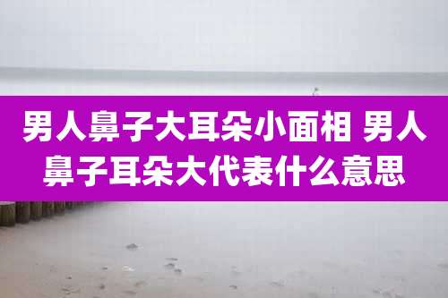 男人鼻子大耳朵小面相 男人鼻子耳朵大代表什么意思