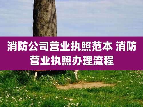 消防公司营业执照范本 消防营业执照办理流程