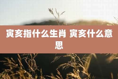寅亥指什么生肖 寅亥什么意思