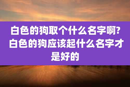 白色的狗取个什么名字啊? 白色的狗应该起什么名字才是好的