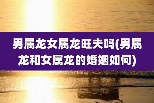 男属龙女属龙旺夫吗(男属龙和女属龙的婚姻如何)