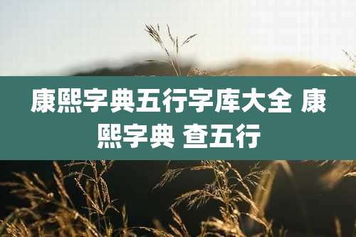 康熙字典五行字库大全 康熙字典 查五行