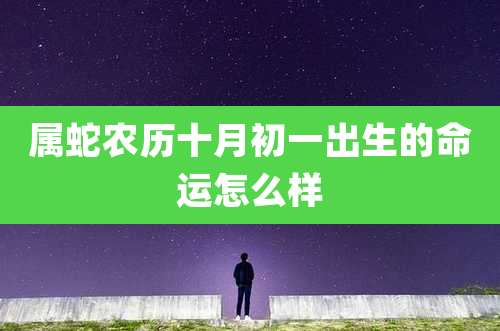 属蛇农历十月初一出生的命运怎么样