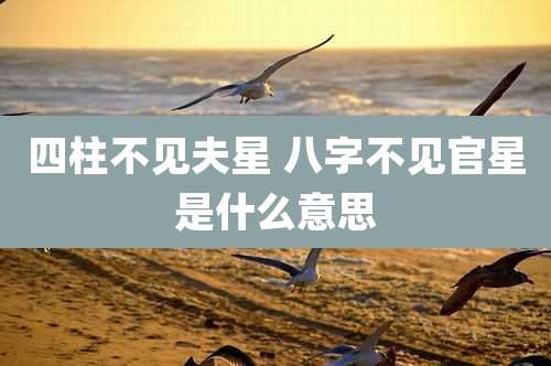 四柱不见夫星 八字不见官星是什么意思