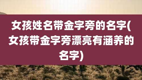 女孩姓名带金字旁的名字(女孩带金字旁漂亮有涵养的名字)