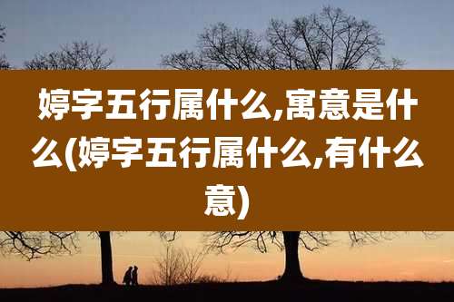 婷字五行属什么,寓意是什么(婷字五行属什么,有什么意)