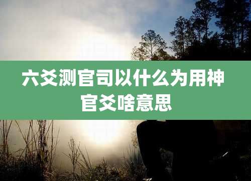 六爻测官司以什么为用神 官爻啥意思