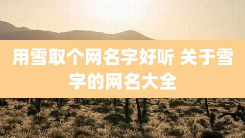 用雪取个网名字好听 关于雪字的网名大全
