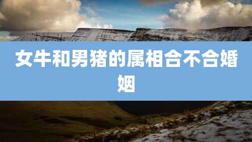 女牛和男猪的属相合不合婚姻