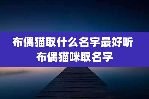 布偶猫取什么名字最好听 布偶猫咪取名字