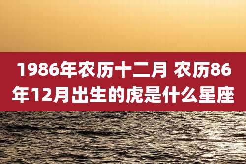 1986年农历十二月 农历86年12月出生的虎是什么星座