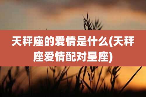 天秤座的爱情是什么(天秤座爱情配对星座)