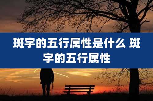 斑字的五行属性是什么 斑字的五行属性