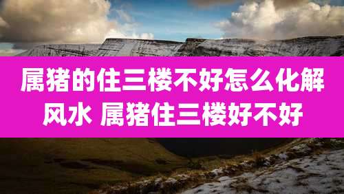 属猪的住三楼不好怎么化解风水 属猪住三楼好不好