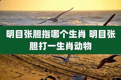 明目张胆指哪个生肖 明目张胆打一生肖动物