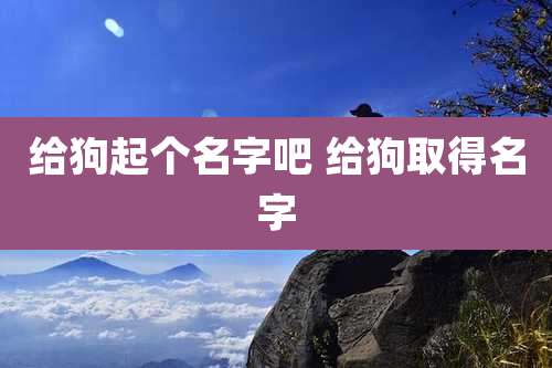 给狗起个名字吧 给狗取得名字