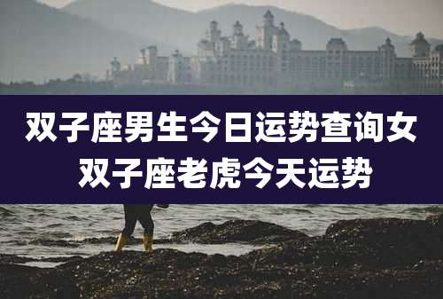 双子座男生今日运势查询女 双子座老虎今天运势
